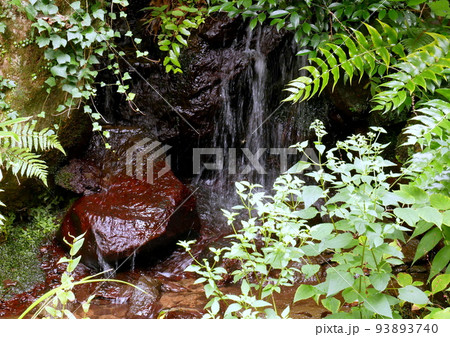 本格的な日本庭園、歩いて見てまわる回遊式、海外からのお客様のために、水車小屋や小さな滝もあります 本格的な日本庭園、歩いて見てまわる回遊式、海外からのお客様のために、水車小屋や小さな滝もあります 93893740
