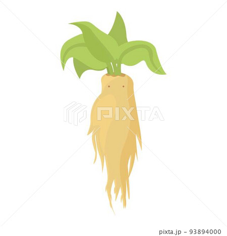 Halloween mandrake icon cartoon vector. Alchemy leaf. Ancient magic 93894000