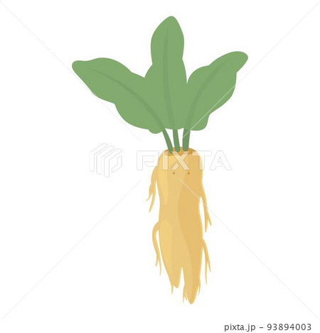 Medicine mandrake icon cartoon vector. Magic mandragora. Root nature 93894003