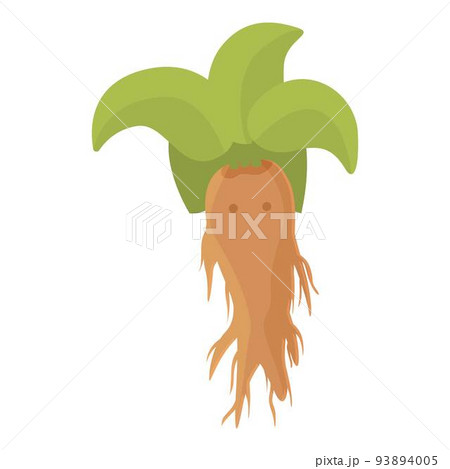 Agriculture mandrake icon cartoon vector. Magic mandragora. Herb plant Agriculture mandrake icon cartoon vector. Magic mandragora. Herb plant 93894005