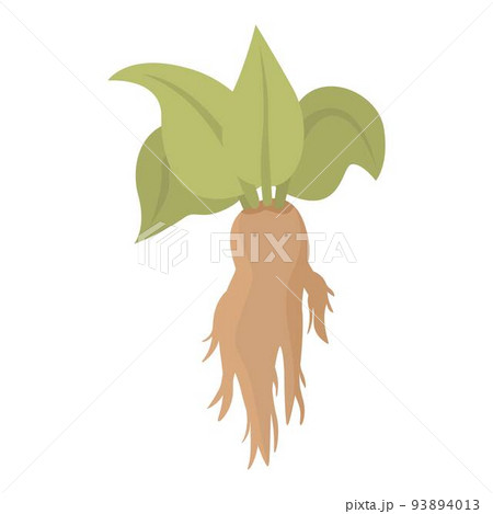 Nature mandrake icon cartoon vector. Green plant. Child garden 93894013