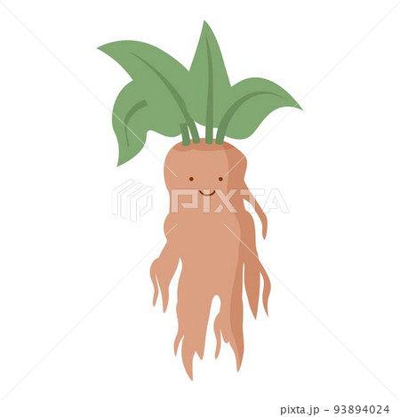 Poison mandrake icon cartoon vector. Mandragora leaf. Plant magic 93894024