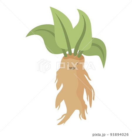 Herb mandrake icon cartoon vector. Leaf plant. Ancient magic 93894026