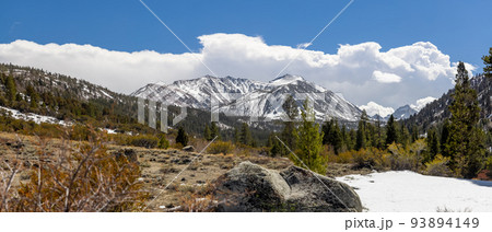Eastern Sierra mountains near bishop, California in spring time. 93894149