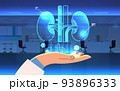hand holding virtual anatomical kidneys structure human body internal organ anatomy medicine vr vision metaverse 93896333
