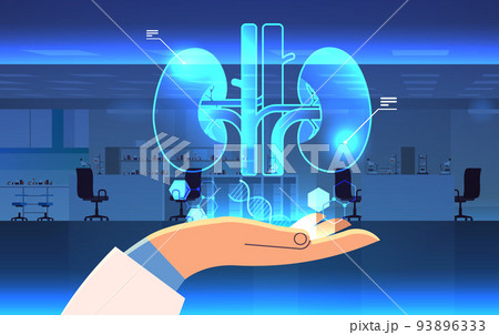 hand holding virtual anatomical kidneys structure human body internal organ anatomy medicine vr vision metaverse 93896333