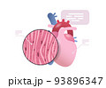 detailed explanation anatomical heart structure human body internal organ anatomy medicine healthcare concept 93896347