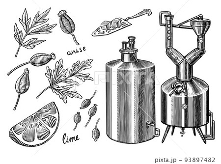 Pot Swan necked copper stills distillery for making alcohol. Engraved hand drawn vintage retro Pot Swan necked copper stills distillery for making alcohol. Engraved hand drawn vintage retro 93897482