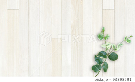 木目素材とグリーン 木目素材とグリーン 93898591