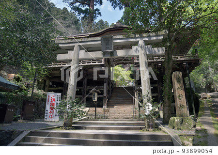 新緑の鞍馬寺 由岐神社 京都市左京区 新緑の鞍馬寺 由岐神社 京都市左京区 93899054