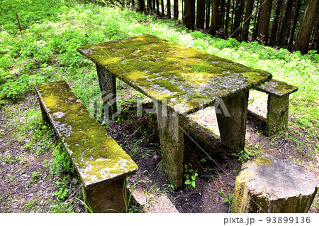 西丹沢の湯船山稜コース　峰坂峠の苔生すベンチ 93899136