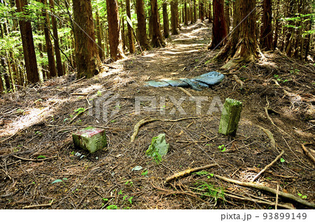 西丹沢の峯坂峠 93899149