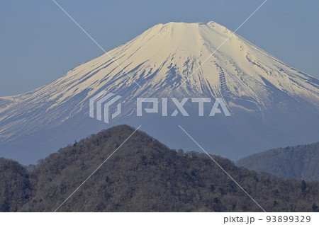 丹沢の丹沢主稜　大室山より望む富士山 93899329