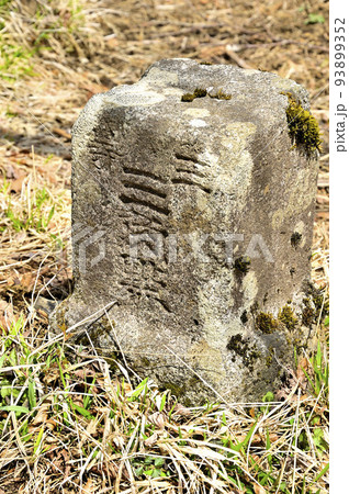 丹沢の甲相国境尾根 加入道山山頂の三角点 丹沢の甲相国境尾根 加入道山山頂の三角点 93899352