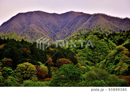 西丹沢 朝焼けの大室山 西丹沢 朝焼けの大室山 93899380