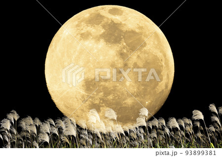 秋、お月見のイメージ。中秋の名月とススキ。 93899381