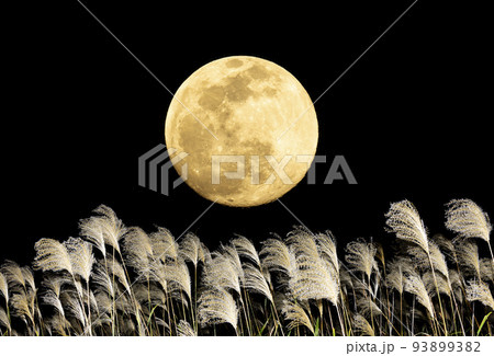秋、お月見のイメージ。中秋の名月とススキ。 93899382