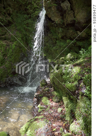 金蔵寺 産の滝 京都市西京区大原野 金蔵寺 産の滝 京都市西京区大原野 93899477