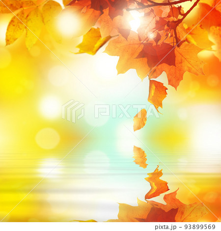 Colorful bright leaves falling in autumnal park. 93899569