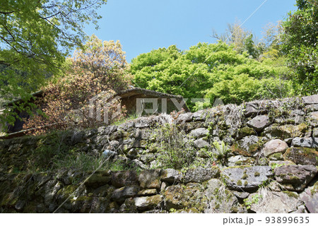 金蔵寺　境内の石段　京都市西京区大原野 93899635