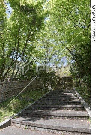 金蔵寺 参道の石段 京都市西京区大原野 金蔵寺 参道の石段 京都市西京区大原野 93899636