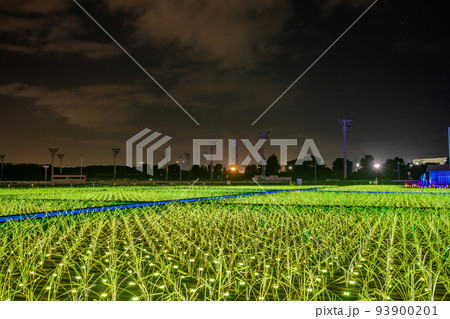 大井競馬場　東京メガイルミネーション 93900201