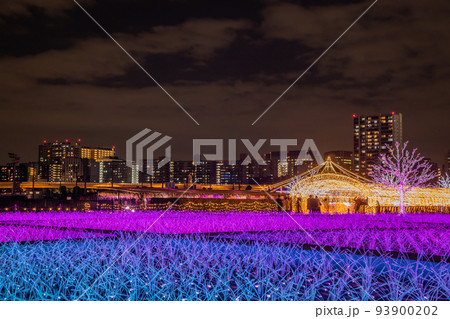 大井競馬場　東京メガイルミネーション 93900202