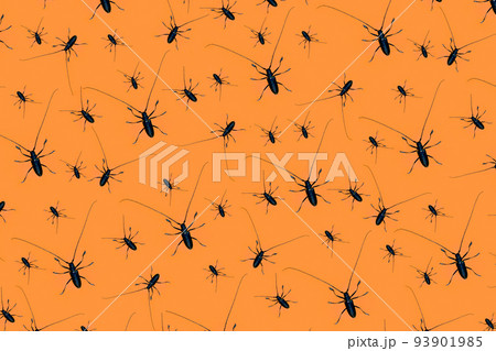 Halloween pattern made with creepy black beetles with long whiskers on orange background, as a backdrop or texture. Creative halloween layout for your design 93901985