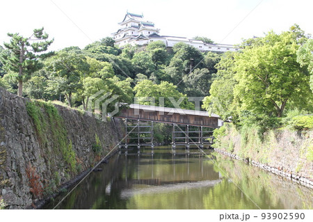 紀州徳川家　和歌山城の夏の朝 93902590