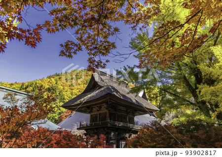 紅葉に包まれた霊松寺の山門 93902817