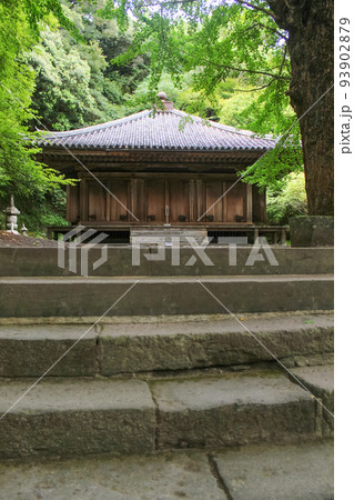 富貴寺大堂と新緑 93902879