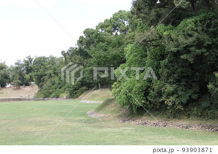 大阪高槻の今城塚古墳の夏風景 大阪高槻の今城塚古墳の夏風景 93903871