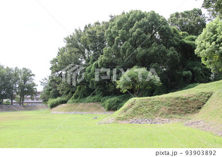 大阪高槻の今城塚古墳の夏風景 93903892