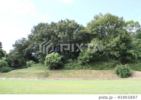 大阪高槻の今城塚古墳の夏風景 大阪高槻の今城塚古墳の夏風景 93903897
