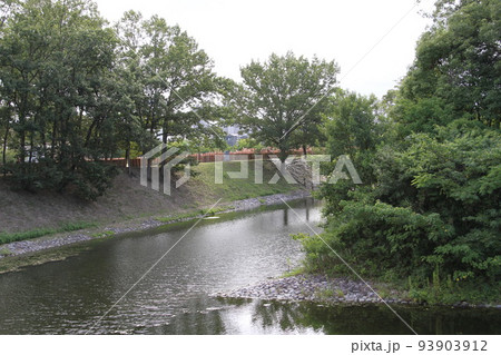 大阪高槻の今城塚古墳の夏風景 93903912