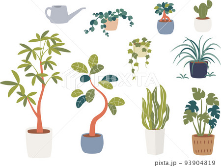 観葉植物のイラストセット 93904819