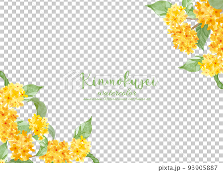 Kinmokusei flower frame 93905887
