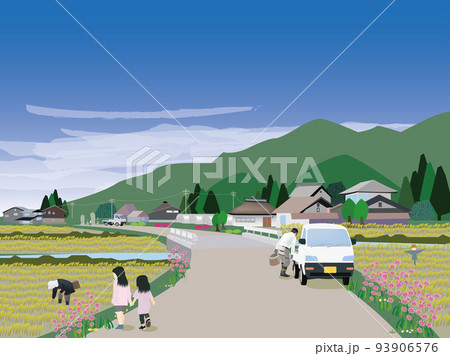 田舎の農村風景とコスモス 93906576