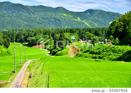 長野県栄村 野田沢地区(長野県栄村)【2022.8】 93907856