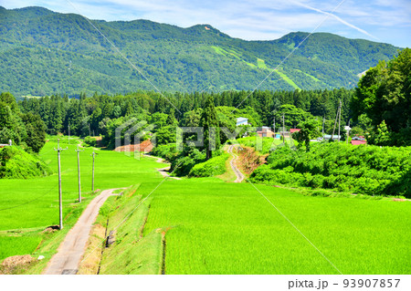 長野県栄村 野田沢地区(長野県栄村)【2022.8】 長野県栄村 野田沢地区(長野県栄村)【2022.8】 93907857
