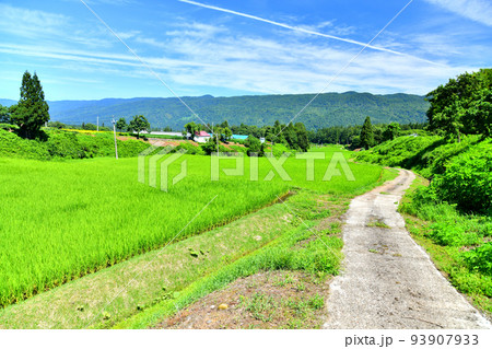 長野県栄村 野田沢地区(長野県栄村)【2022.8】 長野県栄村 野田沢地区(長野県栄村)【2022.8】 93907933