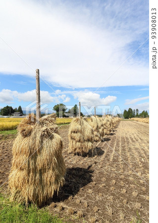 岩手　奥州市　収穫時期の田園風景と稲わら干し（ほんにょ） 93908013