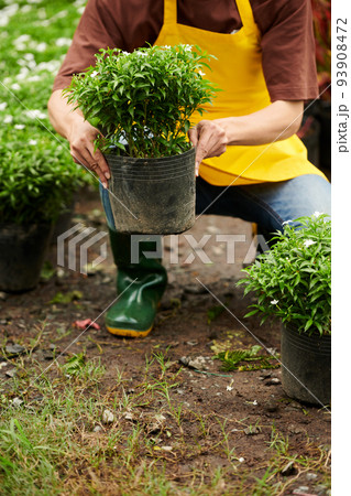 Cropped image of garden worker in apron and rubber boots planting flowers 93908472