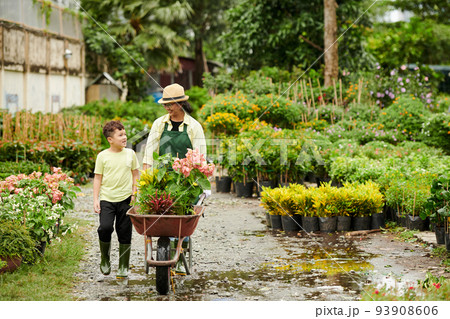 Joyful Asian mother and son working at flower nursery Joyful Asian mother and son working at flower nursery 93908606