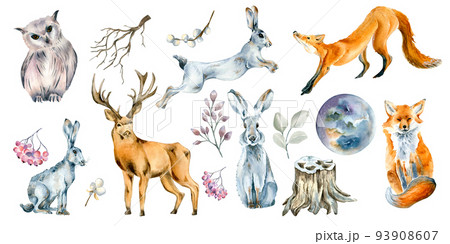 Set of wild animals and forest plants watercolor illustration isolated on white. Set of wild animals and forest plants watercolor illustration isolated on white. 93908607