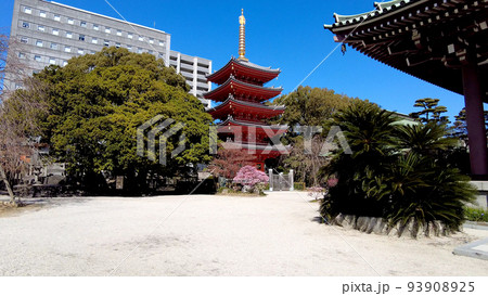 福岡の東長寺の五重の塔 福岡の東長寺の五重の塔 93908925