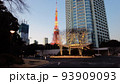 東京タワーとプリンスホテルのイルミネーション 93909093
