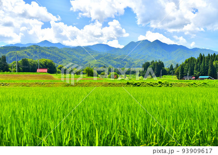 長野県栄村 原向地区(長野県栄村)【2022.8】 長野県栄村 原向地区(長野県栄村)【2022.8】 93909617