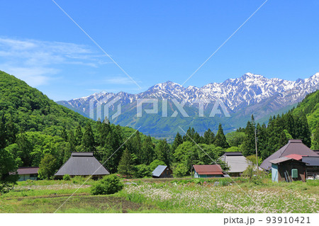 信州白馬　青鬼の5月 93910421