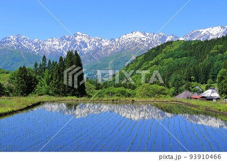 信州白馬　青鬼の5月 93910466
